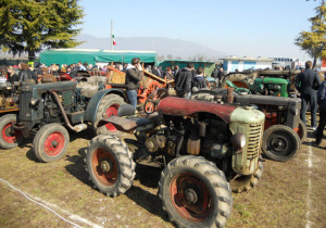 fiera3_tratto560