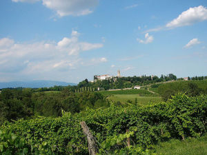 prosecco-Conegliano